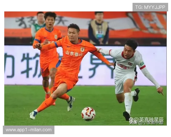 老将价值再发现研究：经验球员在意甲联赛中的战术作用与团队影响力量化分析